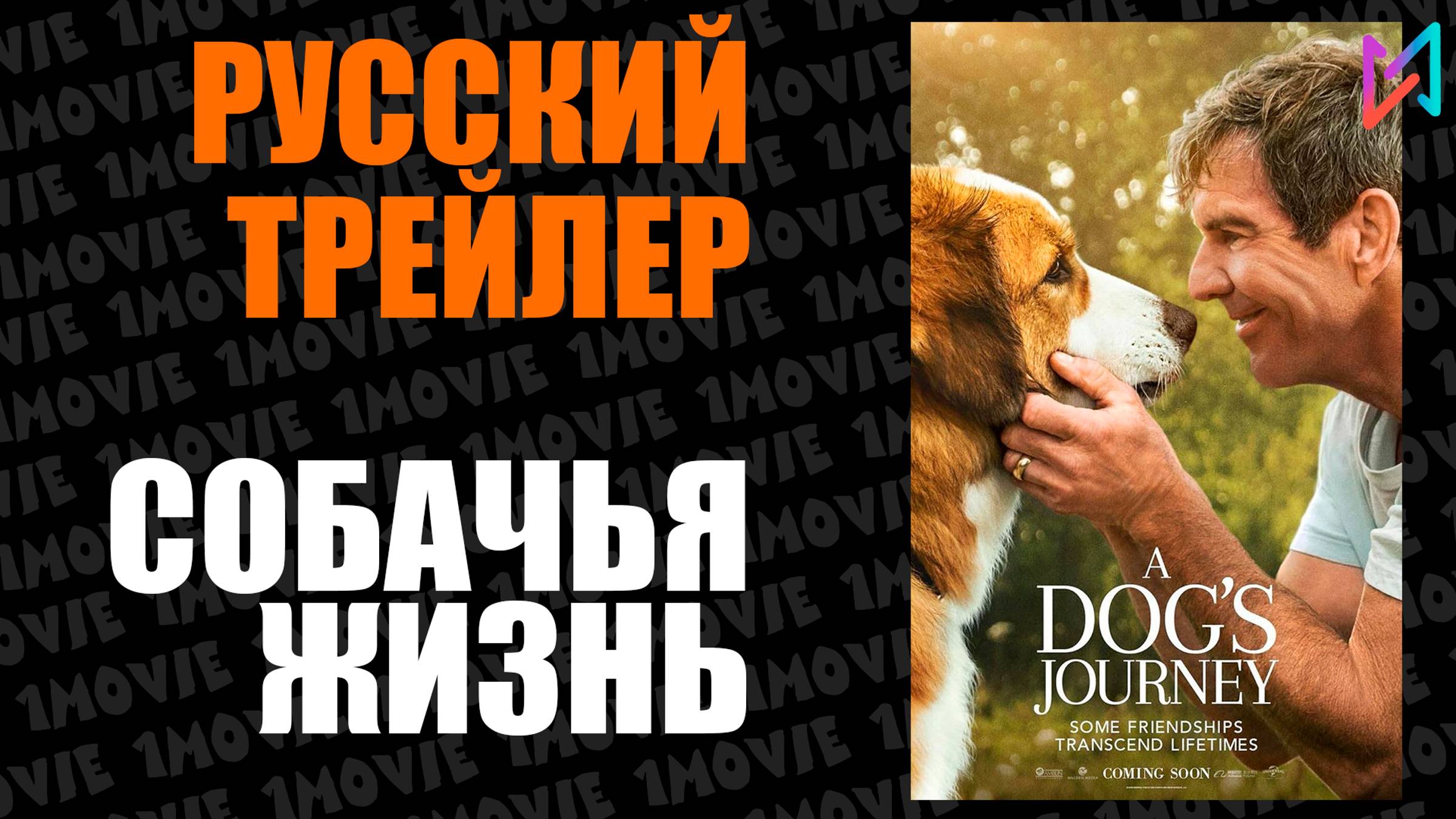 Собачья жизнь (фильм, 2017)