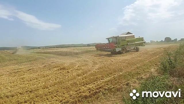 CLAAS MEGA 208.28.07.2021 смотреть онлайн