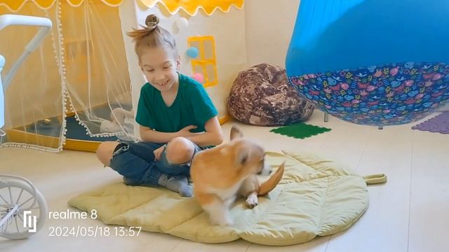 Маленький принц смотреть онлайн