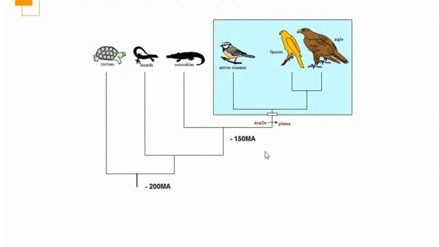 2016 Phylogénie смотреть онлайн