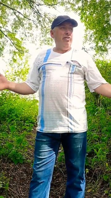 Портал 🪞 #shorts Экстремальное выживания в лесу. Дикие животные и голод. #выживание смотреть онлайн