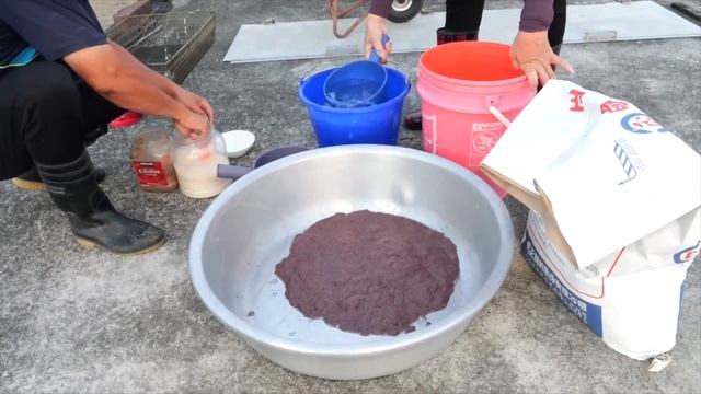 한국인은 본적없는! 팔뚝 보다 큰 거대 장어부터 연간 300톤 장어 구이 대량 생산 현장! / Whole Process of Grilled Eel Mass Production смотреть онлайн