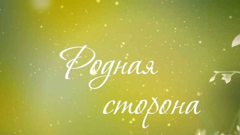 Родная сторона - Танцуй, пока молодой смотреть онлайн