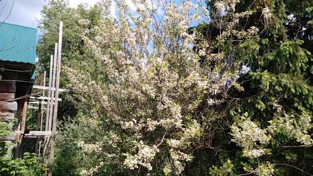 Зеленый путь к успеху