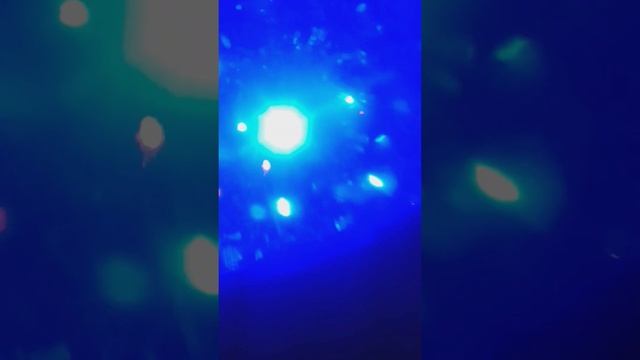 Recalibrating To Your Highest Timeline 🌀 Lemurian/Dolphin Light Language🐬🌊