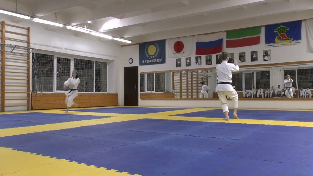 ката ката СК "БУДО" техника каратэ смотреть онлайн