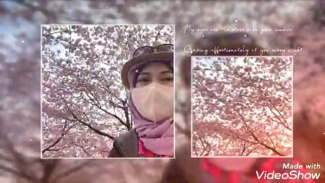 Line Dance Sakura Hanami Edition. IPEMIJ смотреть онлайн