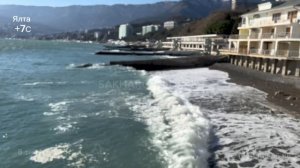 08-02-2025 Ялта Художник Игорь Сахаров