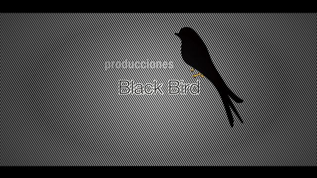 Black Bird смотреть онлайн