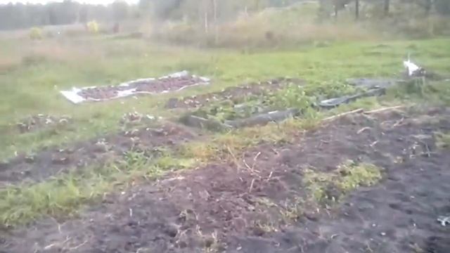 Moia Kartoshka смотреть онлайн