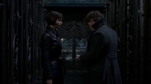 Animales Fantasticos