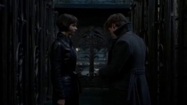 Animales fantasticos