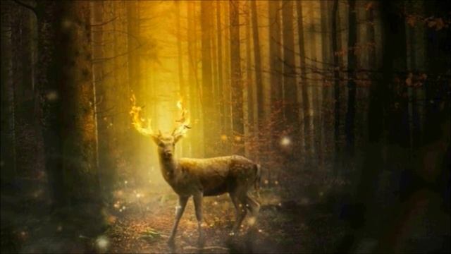 Adagio Albinoni cover of Il Divo version(based on Lala Fabian's original lyrics and arrangement) смотреть онлайн