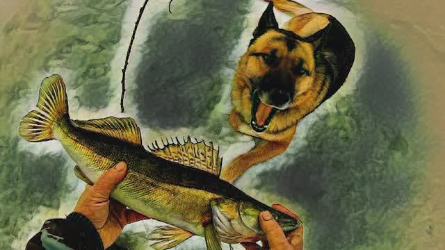 Это лучше чем жерлица,почему я так раньше не ловил и ее можно оставить на неделю