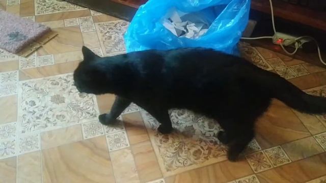 С добрым утром!👌#моякасюня смотреть онлайн