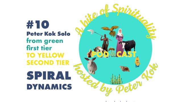#10 Peter Kok Solo ~ from green, first tier to YELLOW, SECOND TIER ~ SPIRAL DYNAMICS смотреть онлайн