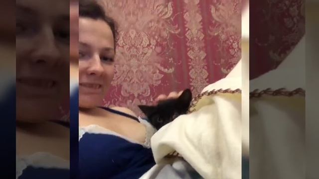 Котенок Ламар теперь немного собака смотреть онлайн