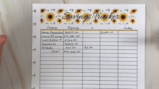 Sinking Funds, Savings Tracker, and Credit Card Log Closeout || August 2021 смотреть онлайн