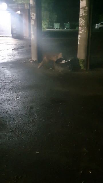 #shorts #чтослучилосьзадень смотреть онлайн