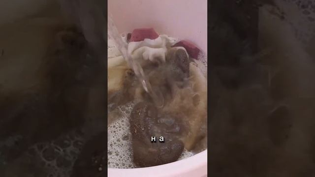 Как отстирать самые грязные вещи смотреть онлайн