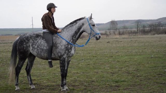 Horse FAIL😂 смотреть онлайн