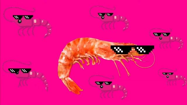 ~flamingo song~ смотреть онлайн