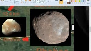 EVERYTHING Size Comparison 2021 [PART 14]