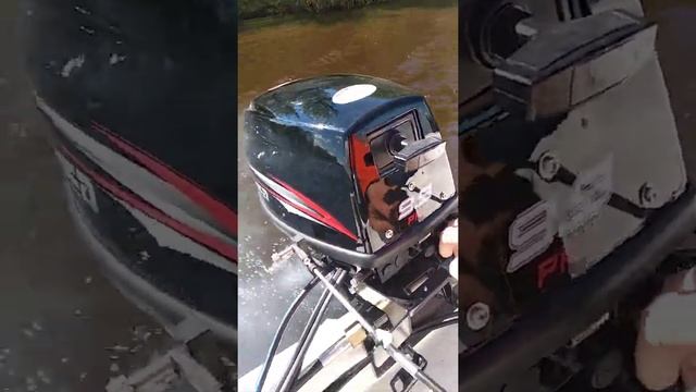 Хайди 9.9 ПРО первый запуск и Афалина 395