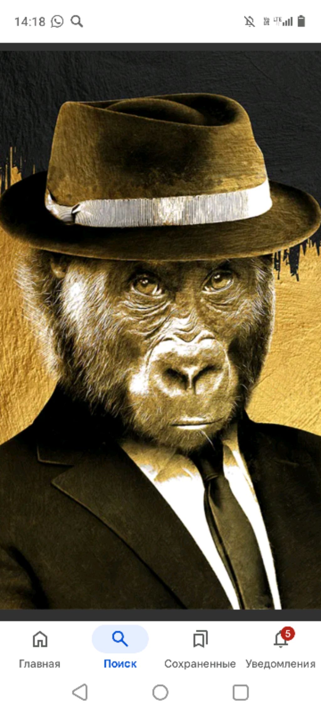 что такое Находка?