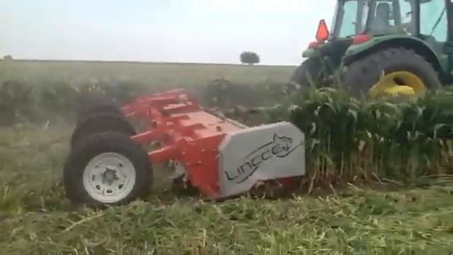 corte de sorgo en helada sinaloa 2013 смотреть онлайн