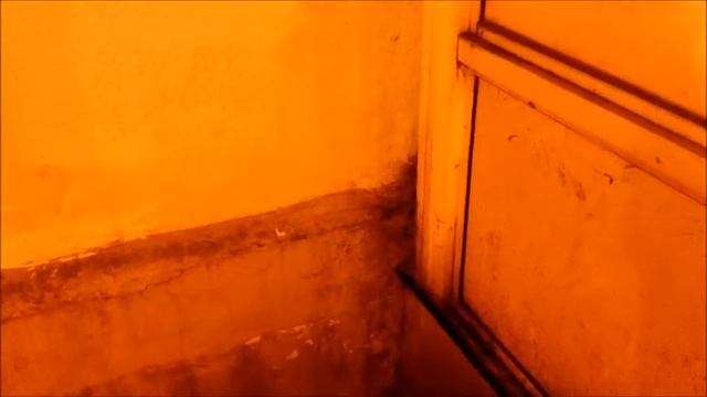 Это крысиный хвост! смотреть онлайн