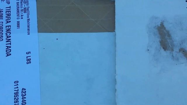 Pigeon mites смотреть онлайн