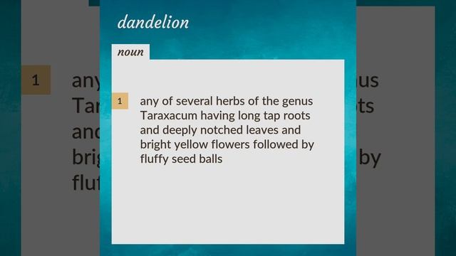 Dandelion | Meaning Of Dandelion