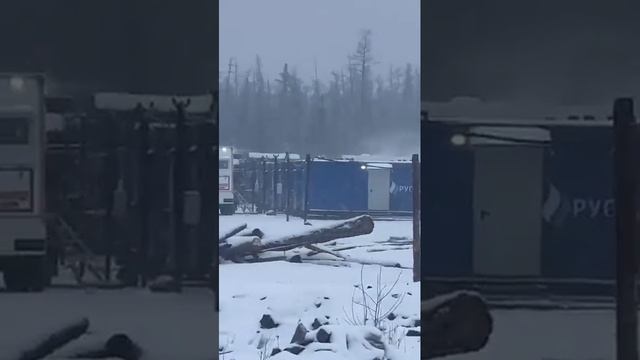 в росие на севере медведь напал на человека и тежело ранен мужчина был срочно доставлен в больницу смотреть онлайн