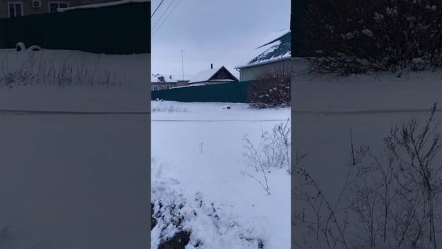 Планы на ближайшее будущее. смотреть онлайн