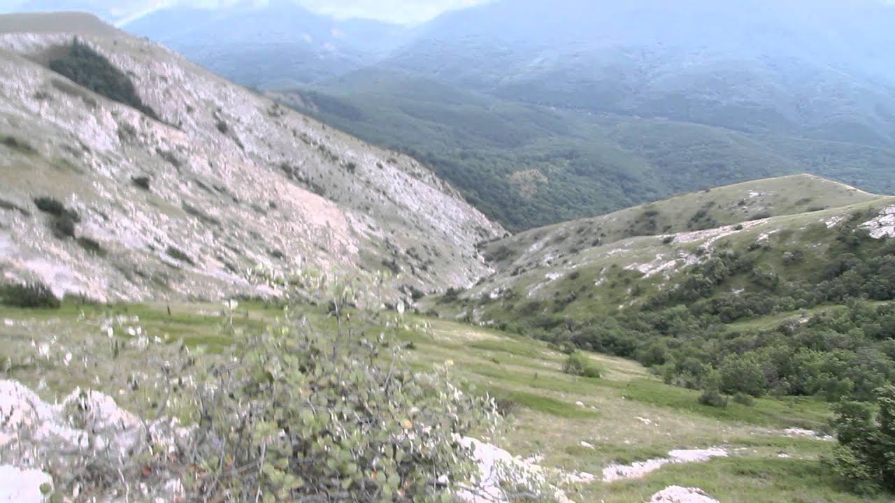ката СК "БУДО" техника каратэ смотреть онлайн
