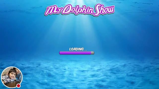 My Dolphin Show смотреть онлайн