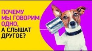 Урок 21.2 Почему Вас не слышат или Матрица слушанья