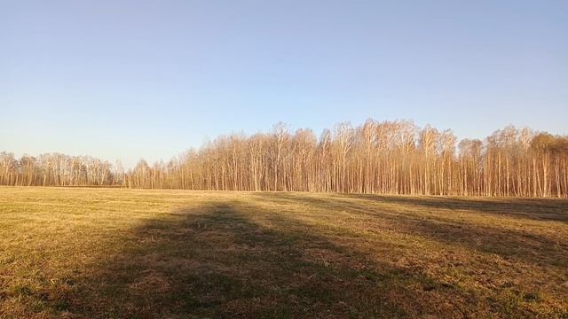 Звуки природы смотреть онлайн