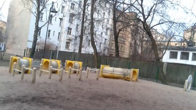 место для собак 16 3 24 смотреть онлайн