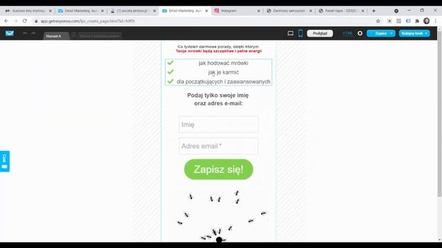 Budowa LISTY MAILINGOWEJ - jak to zrobić od podstaw krok po kroku смотреть онлайн