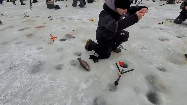 Обещанное зарыбление 500 кг !!!