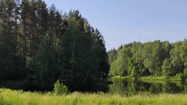 Дорога к пруду смотреть онлайн