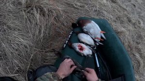 Охота на уток в Якутии 2024