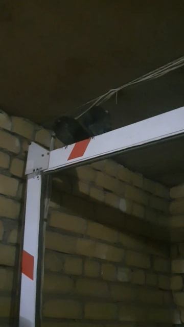 ❗️охрана на страже❗️#shorts #приколы #чтослучилосьзадень смотреть онлайн