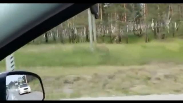 Автохамы в пробке смотреть онлайн