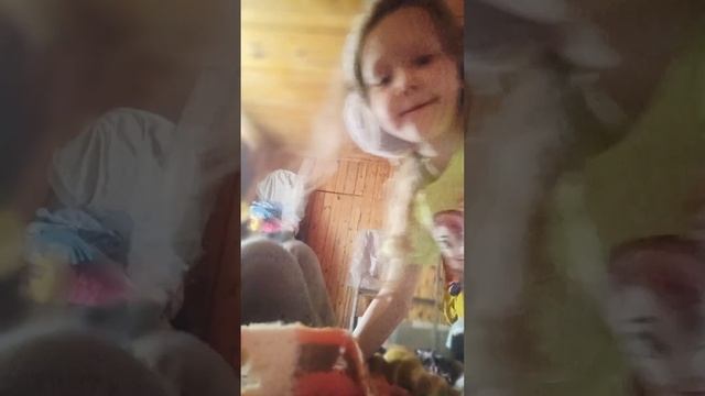 две кошки в доме смотреть онлайн