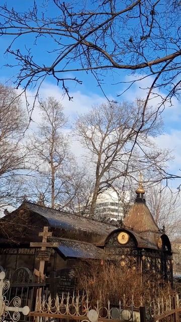 Побывала на днях у Святой Матроны Московской,святое место на Даниловском... смотреть онлайн