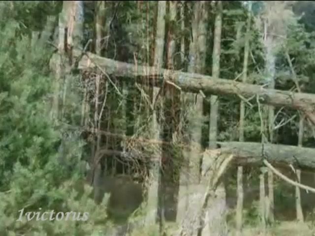 Лукоморья больше нет Lukomorya -Woods- is no more смотреть онлайн