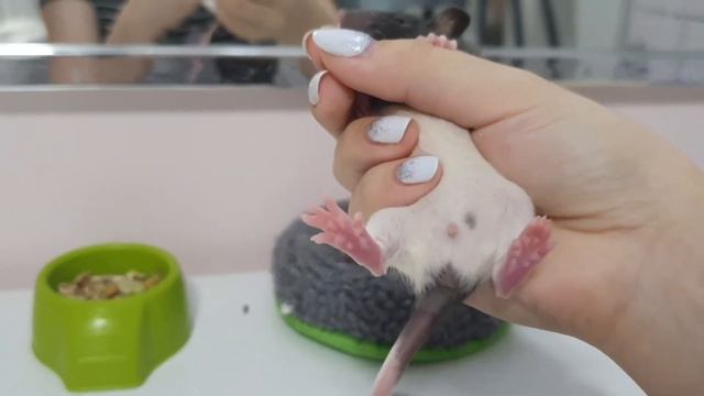 Мимишная детвора!!!🤩 смотреть онлайн